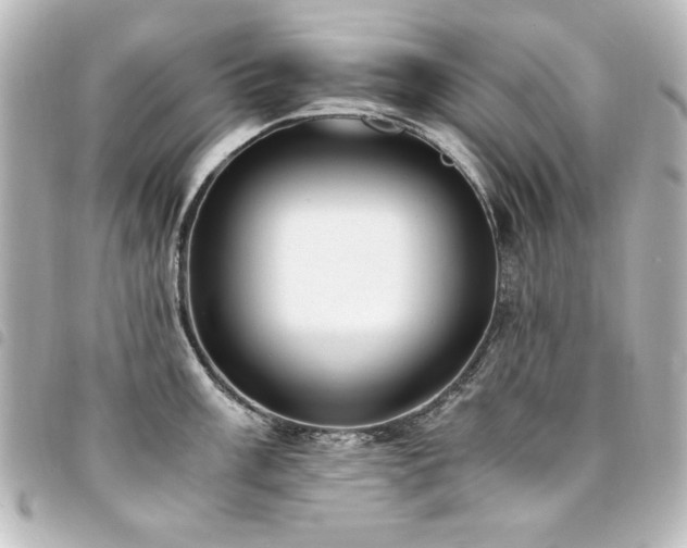 X0000094371003200711021526