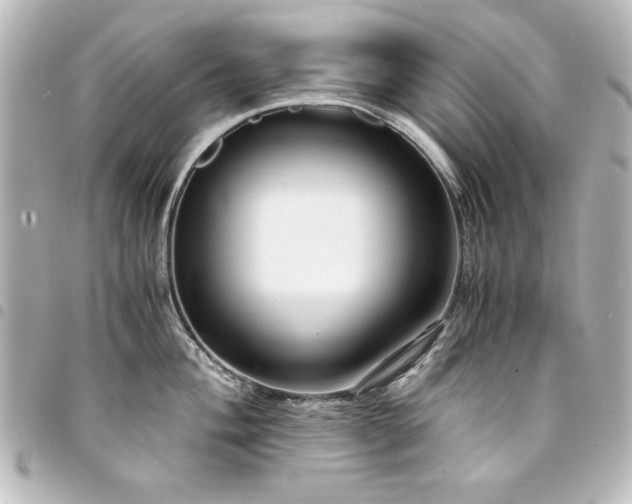 X0000094371004200711021526