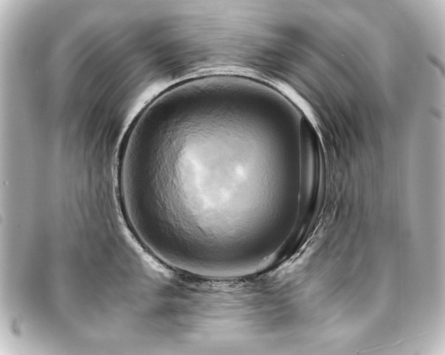 X0000094371005200711021526