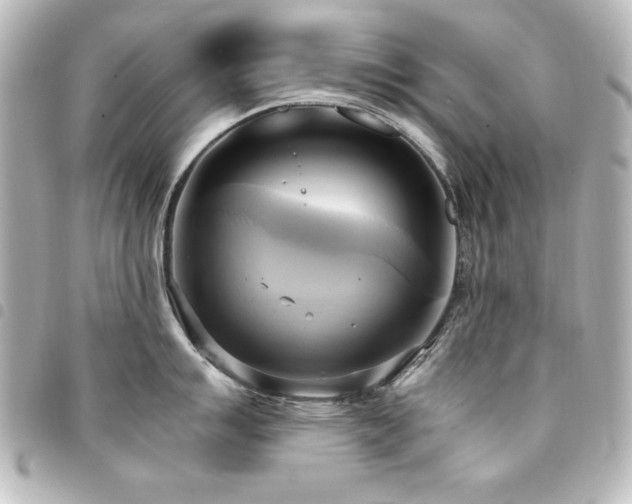 X0000094371007200711021526
