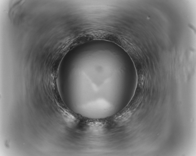 X0000094371010200711021526