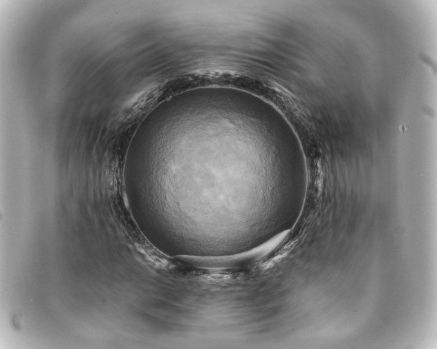 X0000094371014200711021526