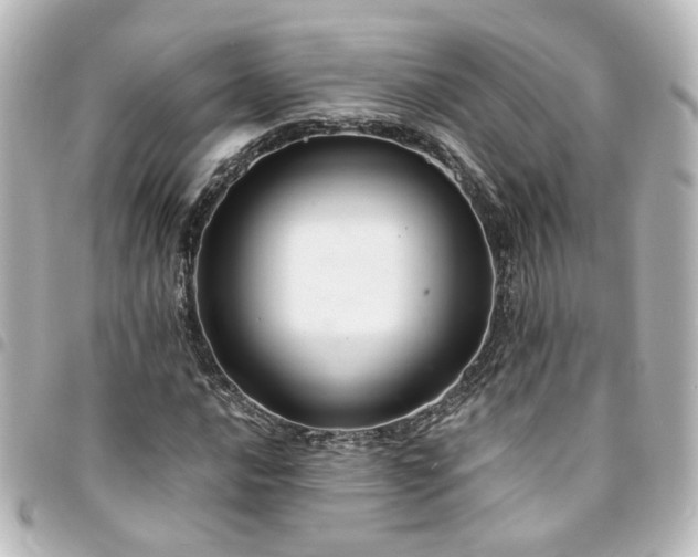 X0000094371016200711021526