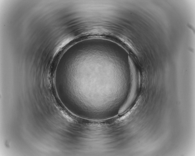 X0000094371018200711021526