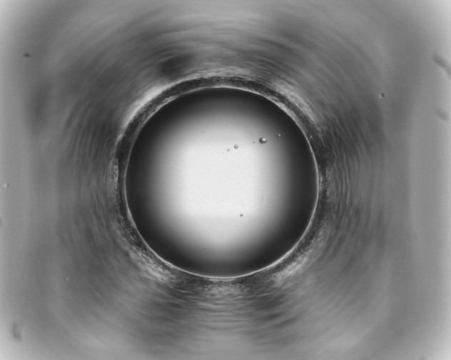 X0000094371021200711021526