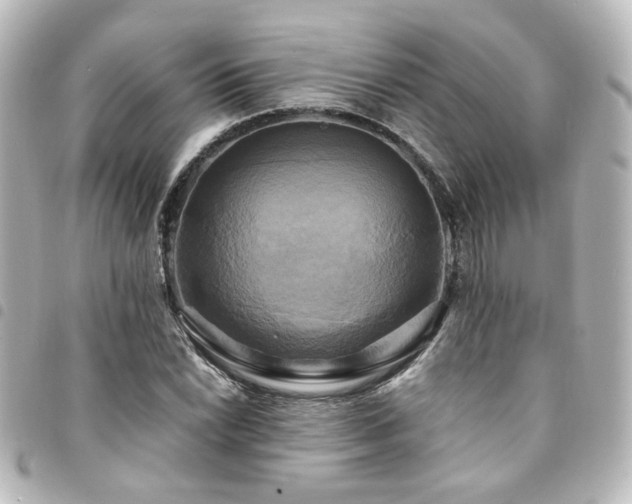 X0000094371022200711021526