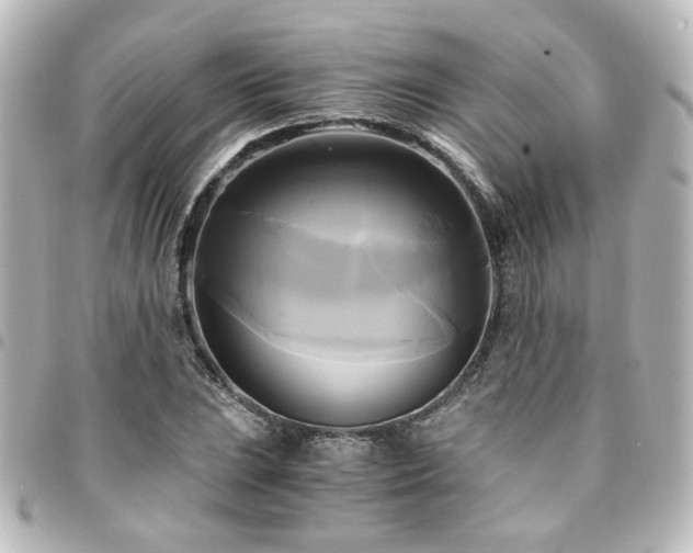 X0000094371023200711021526