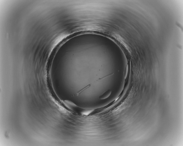 X0000094371024200711021526