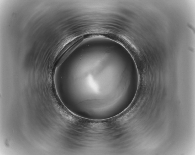 X0000094371025200711021526