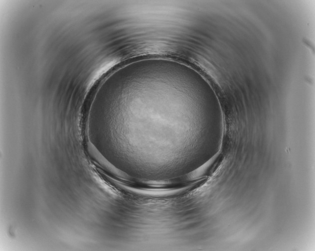X0000094371026200711021526