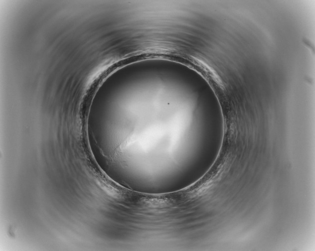 X0000094371027200711021526