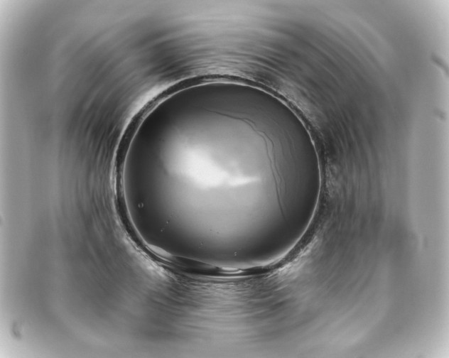 X0000094371028200711021526