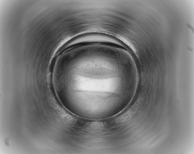 X0000094371029200711021526