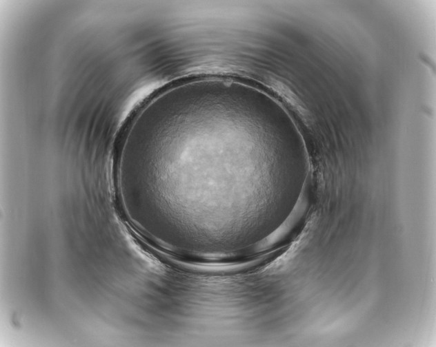 X0000094371030200711021526