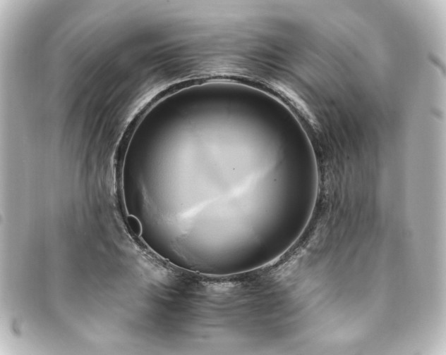 X0000094371031200711021526
