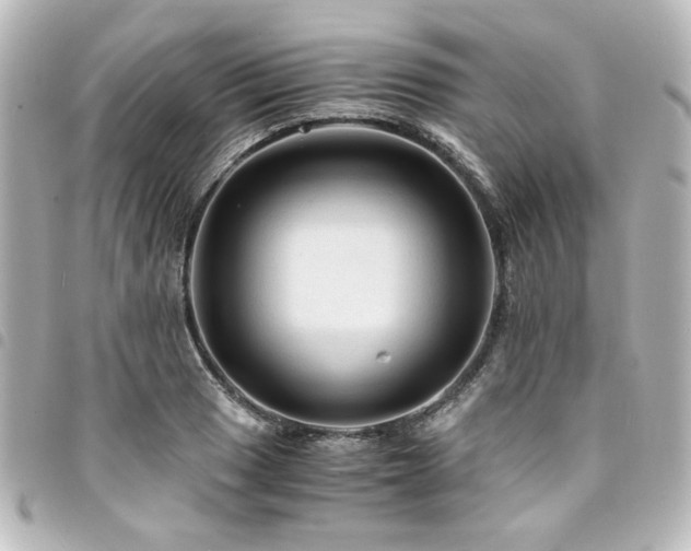 X0000094371033200711021526