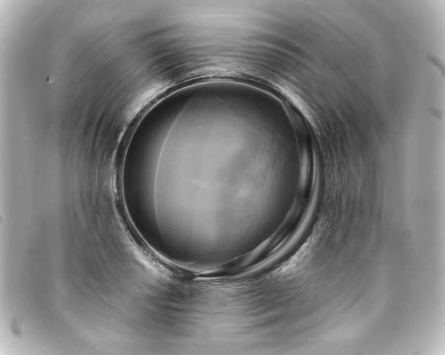 X0000094371034200711021526