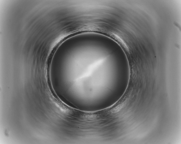 X0000094371035200711021526