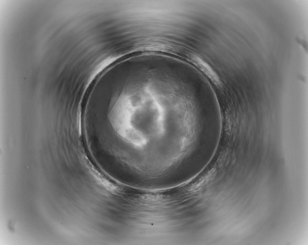 X0000094371036200711021526