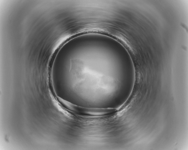 X0000094371038200711021526