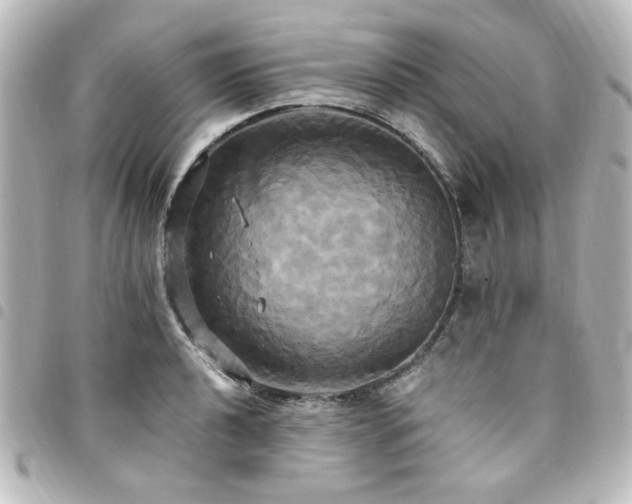 X0000094371040200711021526