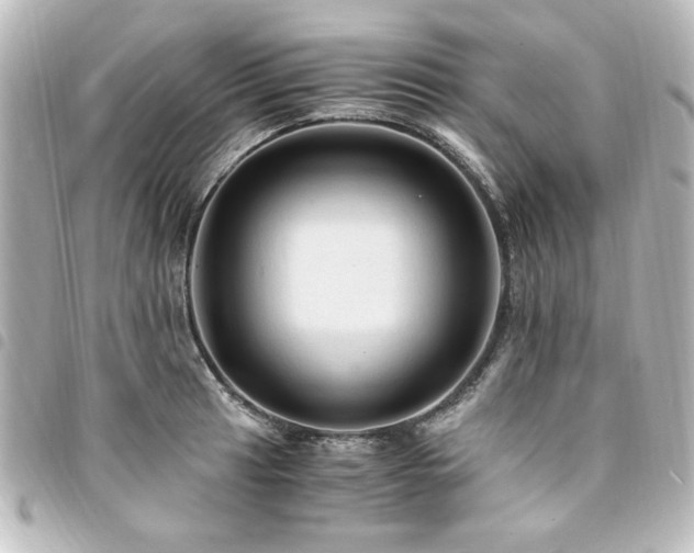 X0000094371041200711021526