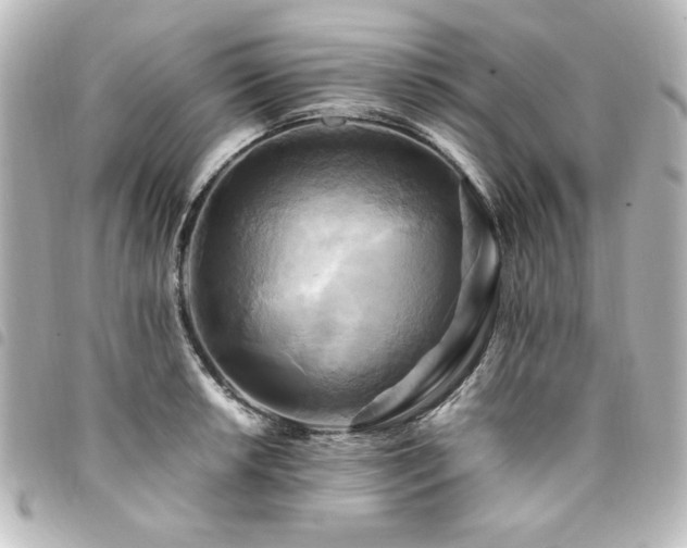 X0000094371042200711021526