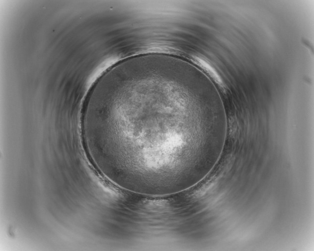X0000094371043200711021526