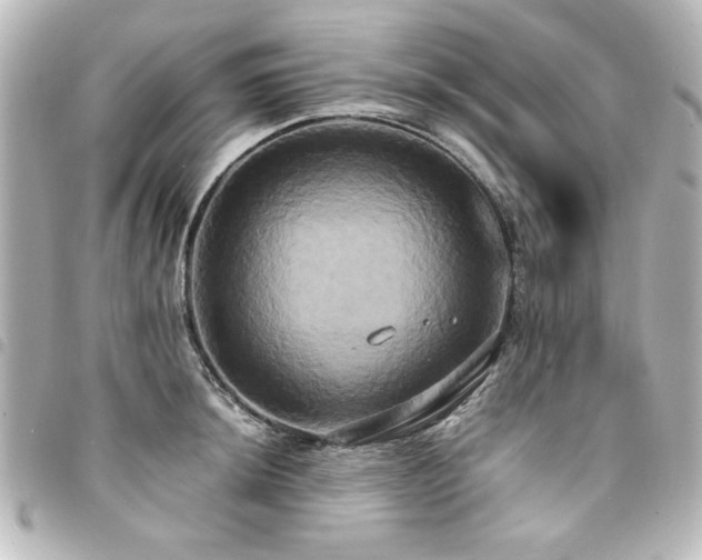 X0000094371044200711021526