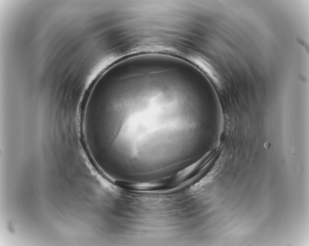 X0000094371046200711021526