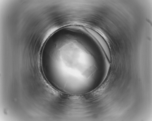 X0000094371048200711021526