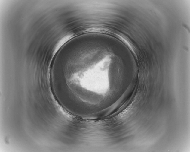 X0000094371050200711021526