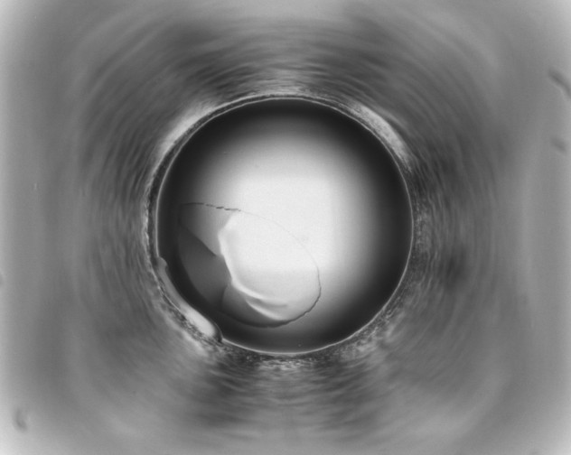 X0000094371051200711021526