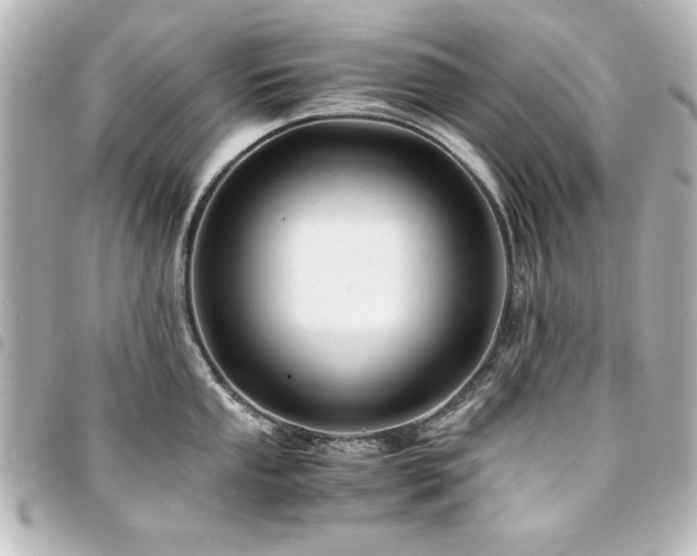 X0000094371053200711021526
