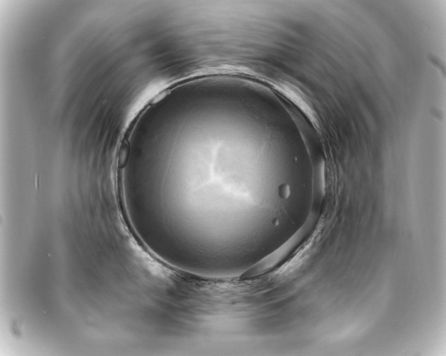 X0000094371054200711021526