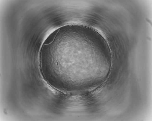 X0000094371056200711021526