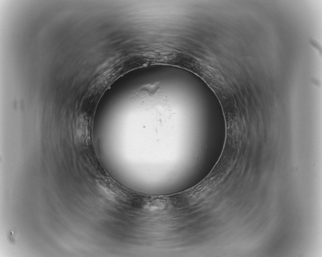 X0000094371058200711021526