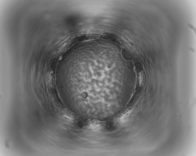 X0000094371059200711021526