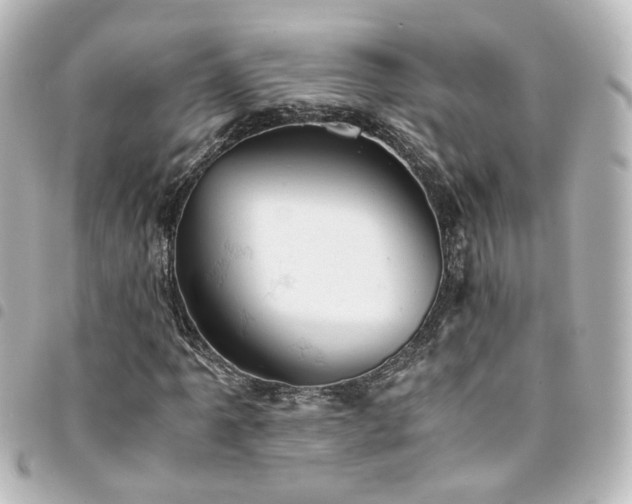 X0000094371061200711021526