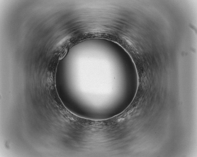 X0000094371062200711021526