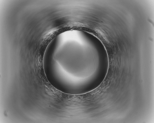 X0000094371063200711021525