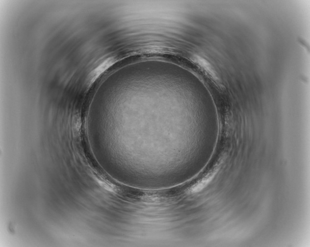 X0000094371065200711021525