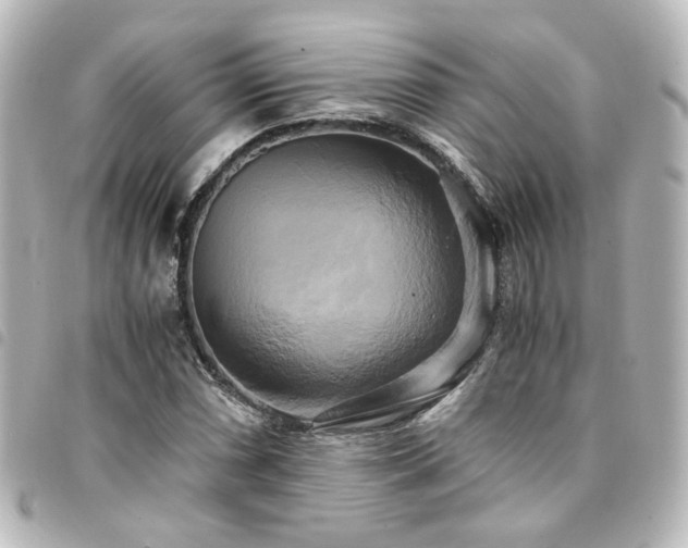 X0000094371066200711021525