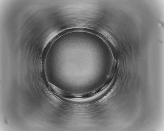 X0000094371069200711021525