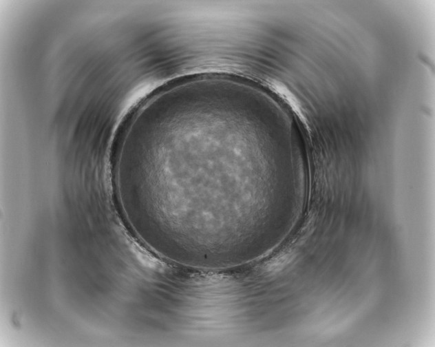 X0000094371072200711021525