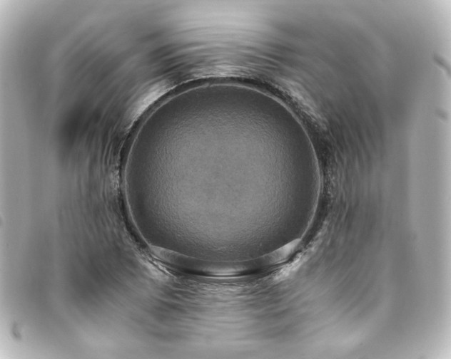 X0000094371073200711021525