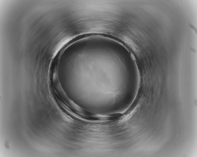 X0000094371077200711021525