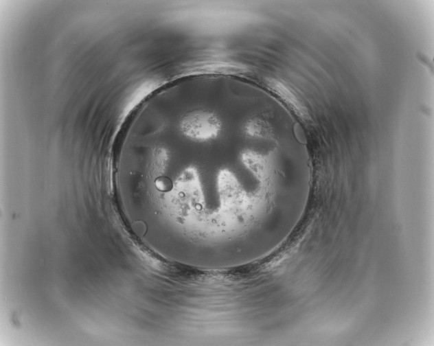 X0000094371079200711021525