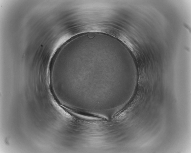 X0000094371080200711021525