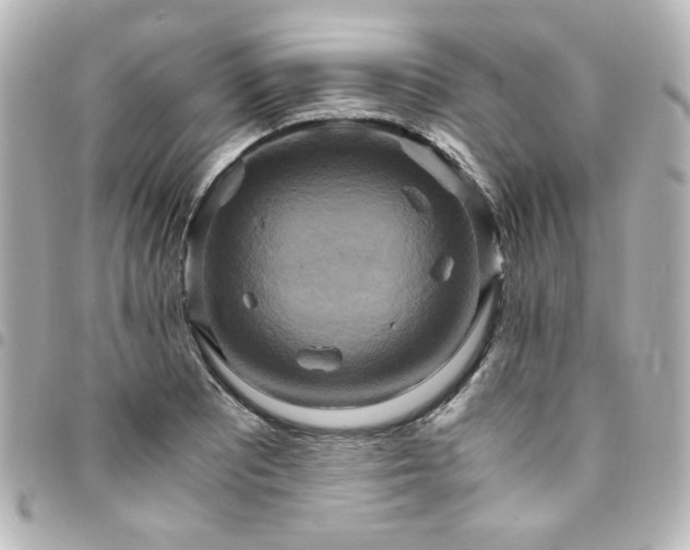 X0000094371081200711021525